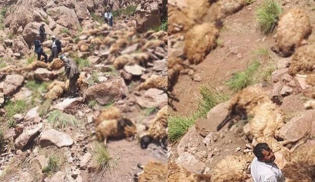 Önce biri atladı, sonra diğeri! Şok oldular...
