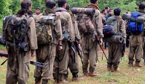 Van’da bir terörist güvenlik güçlerine teslim oldu