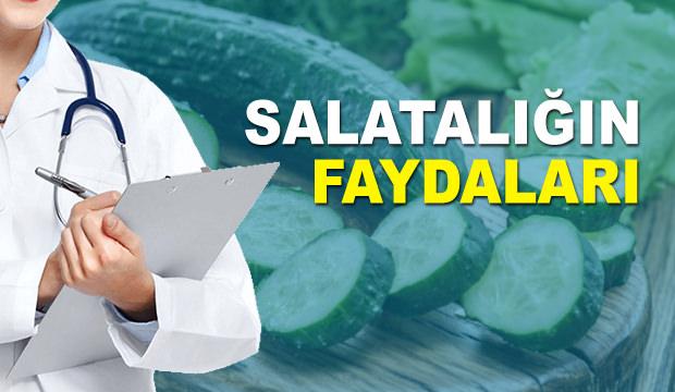 Salatalığın faydaları nelerdir?