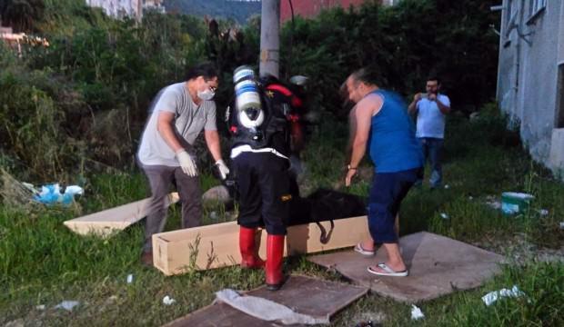 Buzdolabında bulundu! Boğazı kesilmiş...