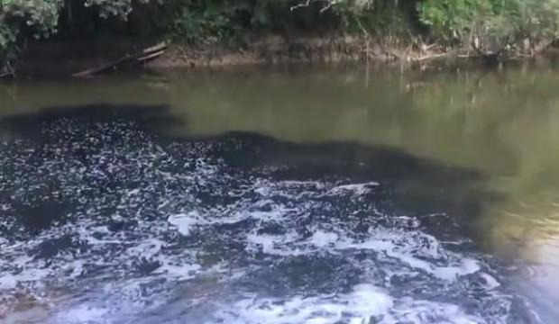 Sakarya Nehri'nde korkutan görüntü