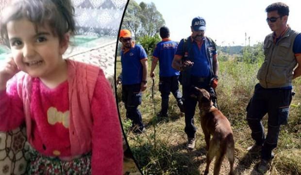 Eylül'ü bulan 'Abrek' kayıp Evrim'i de arıyor