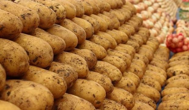 Patates fiyatlarına fren geldi!