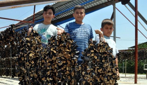 Dedelerinden öğrendiler, şimdi dünyaya satıyorlar