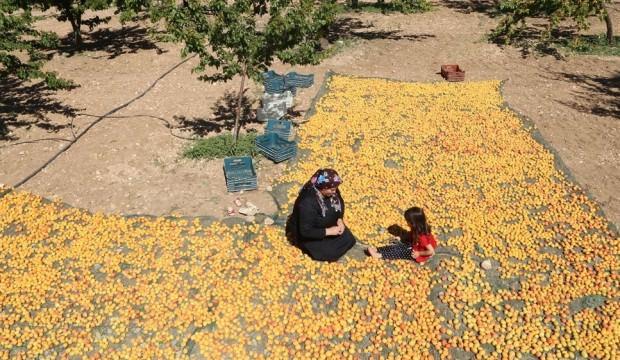 Kadınlara iş kapısı oldu