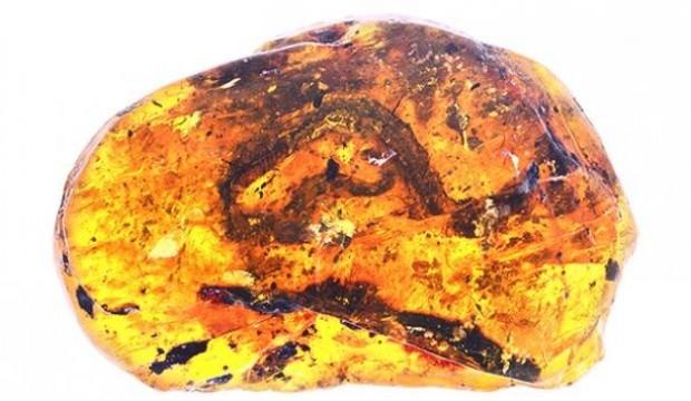 Kimse ilk bakış anlamıyor!Gizem taşın içinde saklı