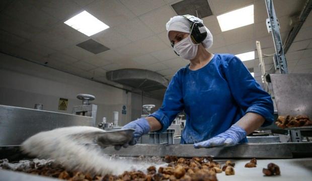 "Mutlu Köy"le gelen ihracat başarısı