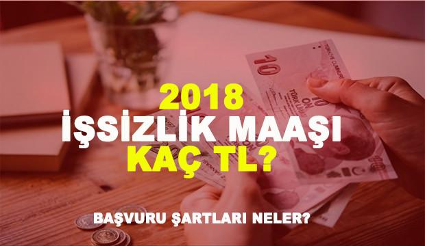 İşsizlik maaşı kaç TL? 2018 işsizlik sigortası başvuru şartları neler?