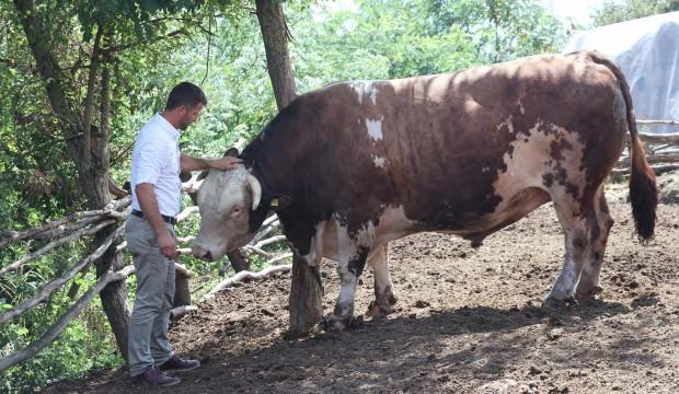 1.5 tonluk 'Babayiğit'in fiyatı dudak uçuklatıyor