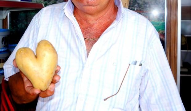 Bu patates görenleri şaşırtıyor