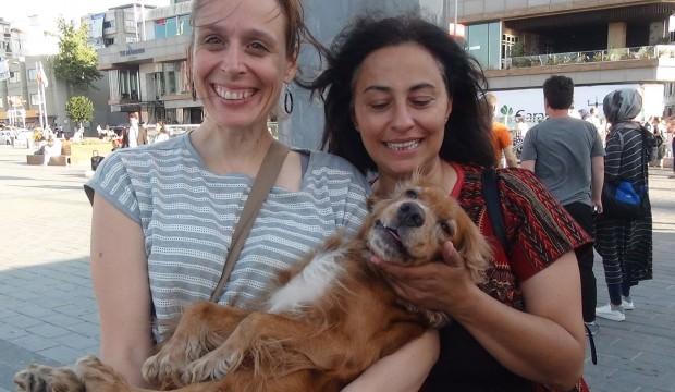 2 bin lira ödüllü köpek bakın nerede bulundu