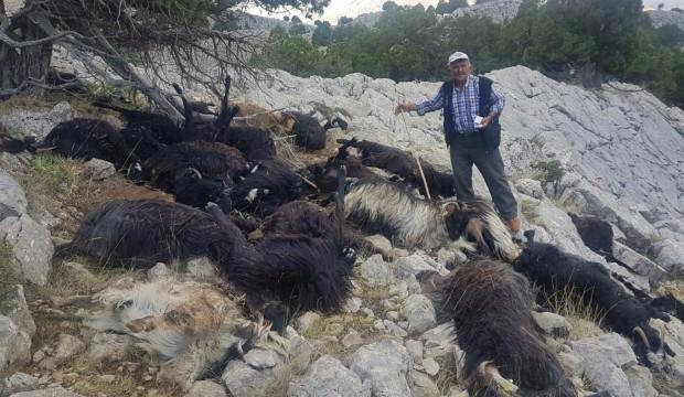 Sürüye yıldırım düştü, 31 keçi telef oldu