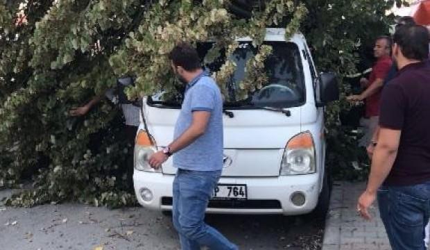 Ağaç kamyonetin üzerine devrildi