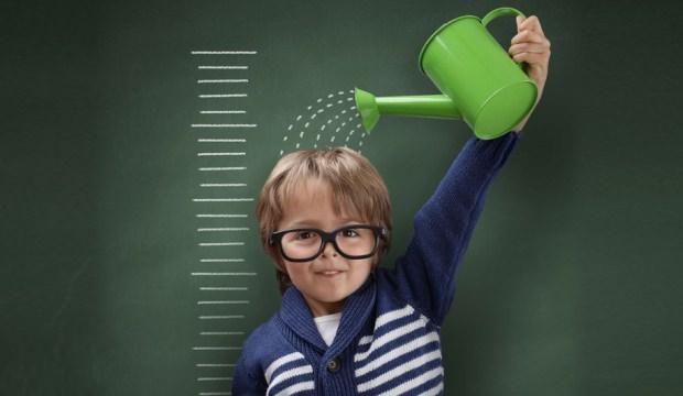 2 RENKLİ PETEK ÖRGÜ MODELİ TÜRKÇE VİDEOLU YAPIMI 2 RENKLİ PETEK ÖRGÜ MODELİ TÜRKÇE VİDEOLU YAPIMI