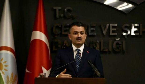 Pakdemirli: Aslında kirası da bedavaya gelecek