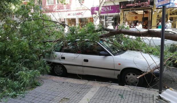 Şiddetli fırtına ağaçları devirdi
