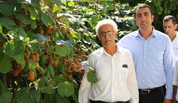 Kimse inanmadı ama o yetiştirdi