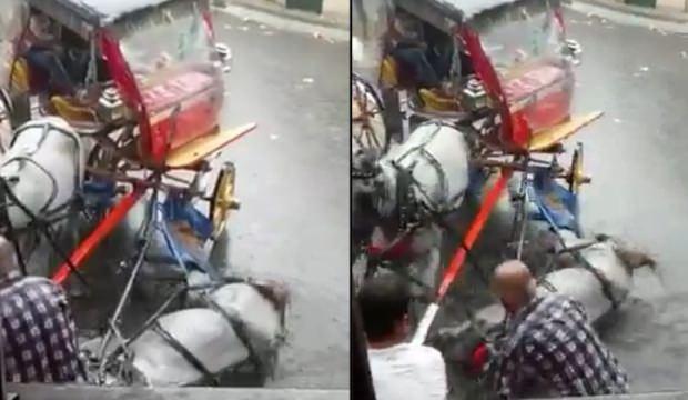 Yürek sızlatan görüntü! İnsan olan bunu yapmaz...
