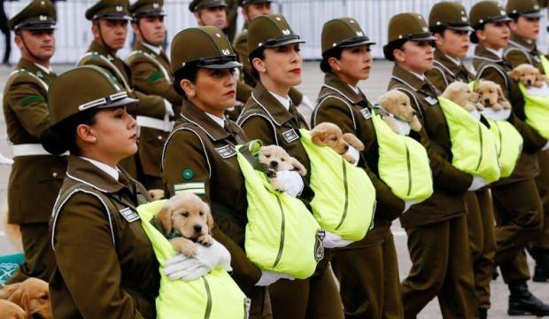 Koca kıta bu ilginç görüntüyü konuşuyor!