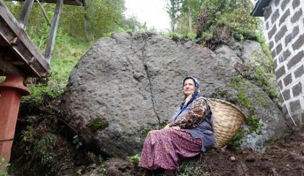 Dev kayayı görünce hayatlarının şokunu yaşadılar