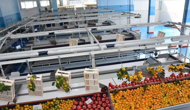 Hibe desteği alan ev kadını patron oldu