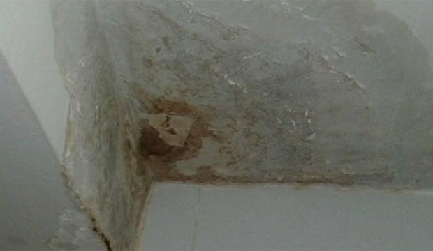 Apartmanda 'banyo' kavgası korkunç bitti