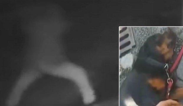 Karar açıklandı! Köpeği demir çubukla dövmüştü