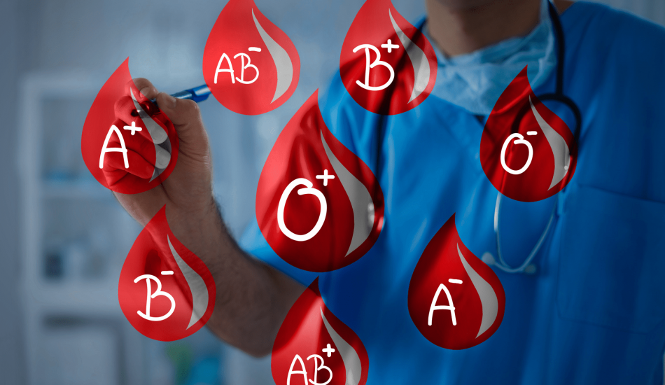 Uyuyan güzel diyeti nedir Nasıl yapılır Uyuyan güzel diyeti nedir Nasıl yapılır