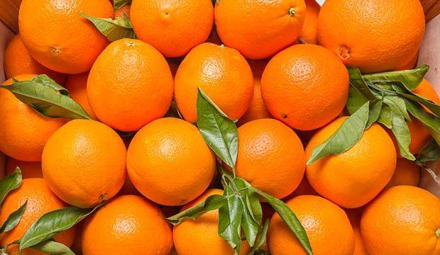 Portakalın Zararı Var Mı