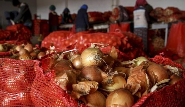Bakan Albayrak talimat verdi, harekete geçildi