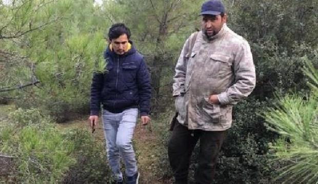 Köylüler korku içinde! Sürü halinde saldırıyorlar