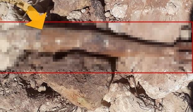Antalya'da bulundu! Polis güvenlik önlemi aldı