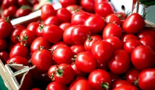 Domatesten ilaca milli damgası
