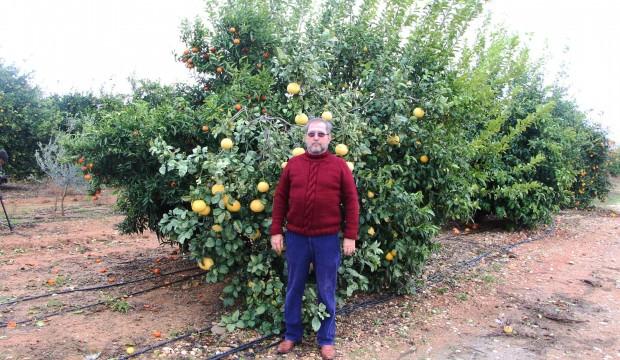 İnanılmaz! 4 ülkenin meyvesi tek ağaçta...