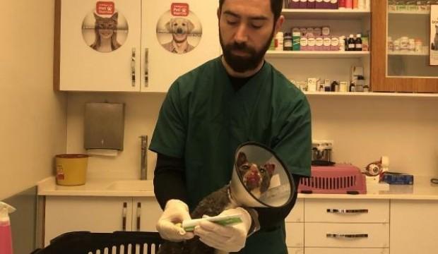 Tam bir vahşet! Kedisini bu halde buldu