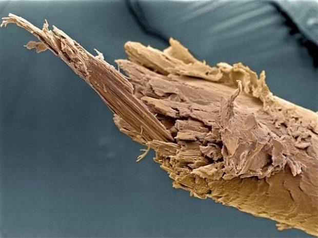 Kırılan saçın mikroskop görünümü