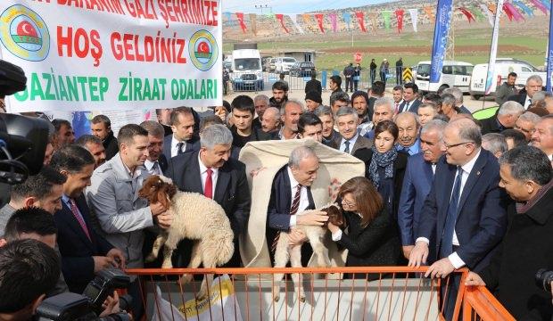 Büyükşehir'den tarım ve hayvancılığa büyük destek