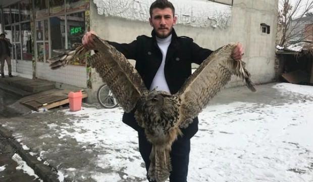 Fotoğraf çektirmek için sıraya girdiler...