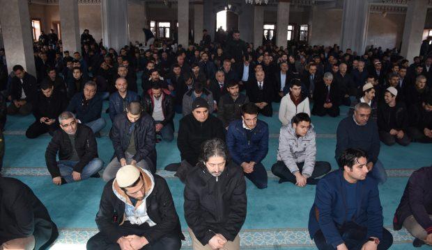 Adıyaman'daki trafik kazası