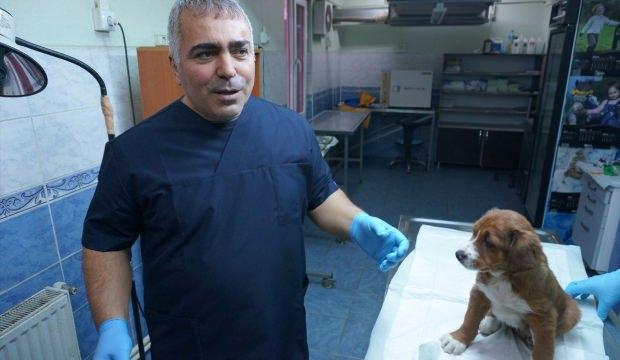 "Zehirlenen 3 köpeğin durumları iyi"