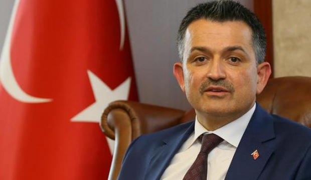 Avrupa Türkiye'nin projesine hayran kaldı!