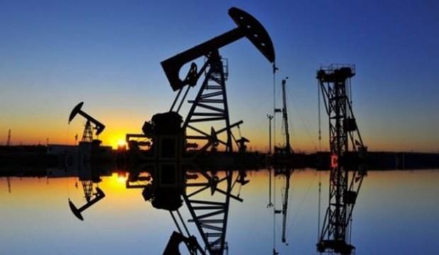 Brent petrolün varili 61,22 dolar