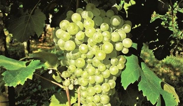 Dikkat! 28 Şubat’ta sona eriyor