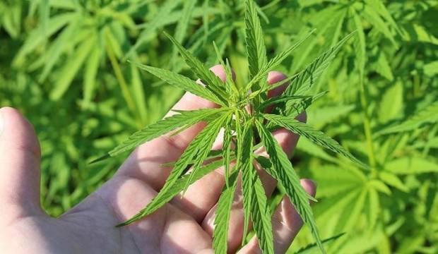 Türkiye'ye 'Çin' uyarısı: Avrupa dört gözle bekliyor
