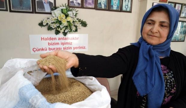 İtalya kapısını çiftçi Zeliha Teyze araladı