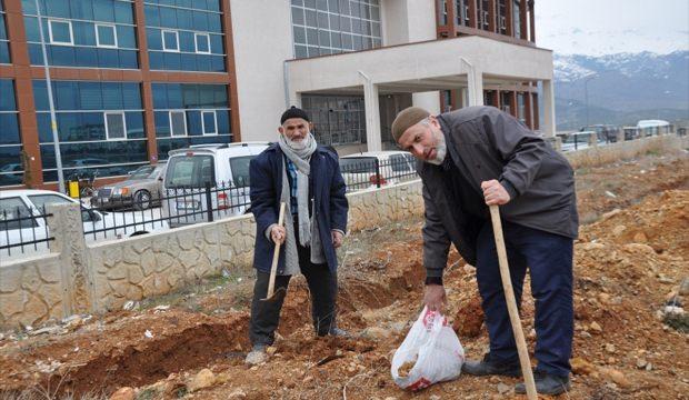Taburcu olduğu hastanenin çevresine badem ekti