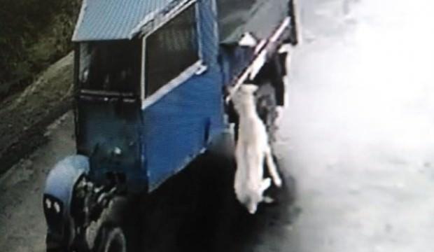 Tam bir vicdansızlık! Sürükleye sürükleye öldürdü