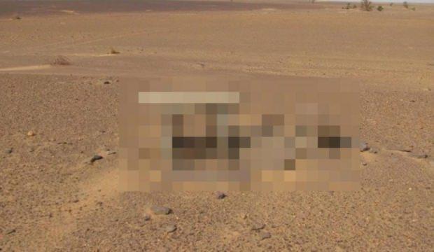 1500 yıldır oradaymış! Şaşkına çeviren keşif