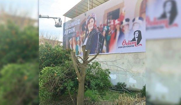 Afişi görünsün diye ağacı kesti