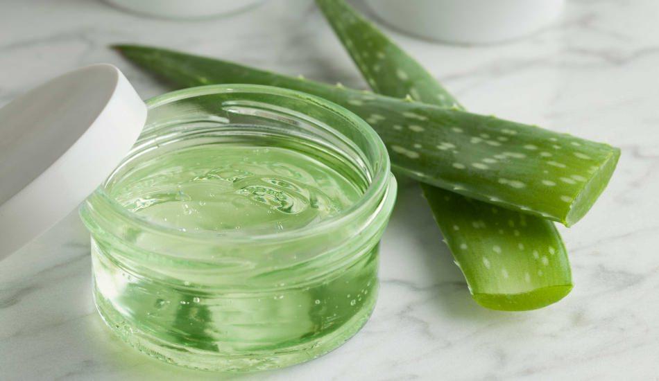 aloe vera nedir cilde faydalari nelerdir aloe vera cilde nasil surulur